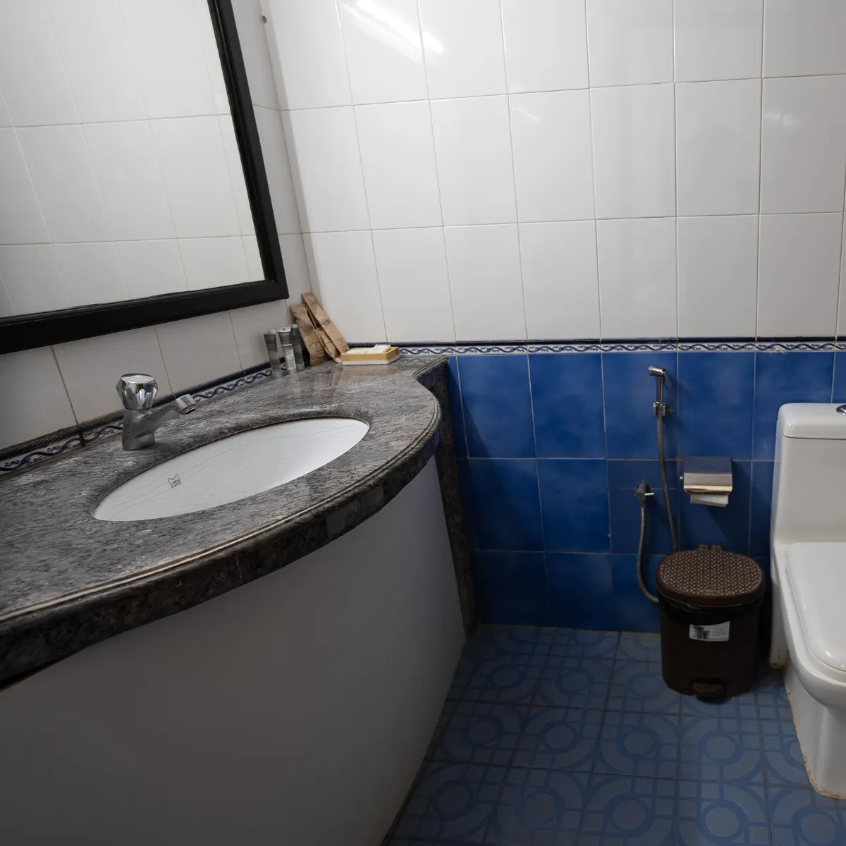 Ground Floor Washroom 2 - The Heritage Villa, Goa