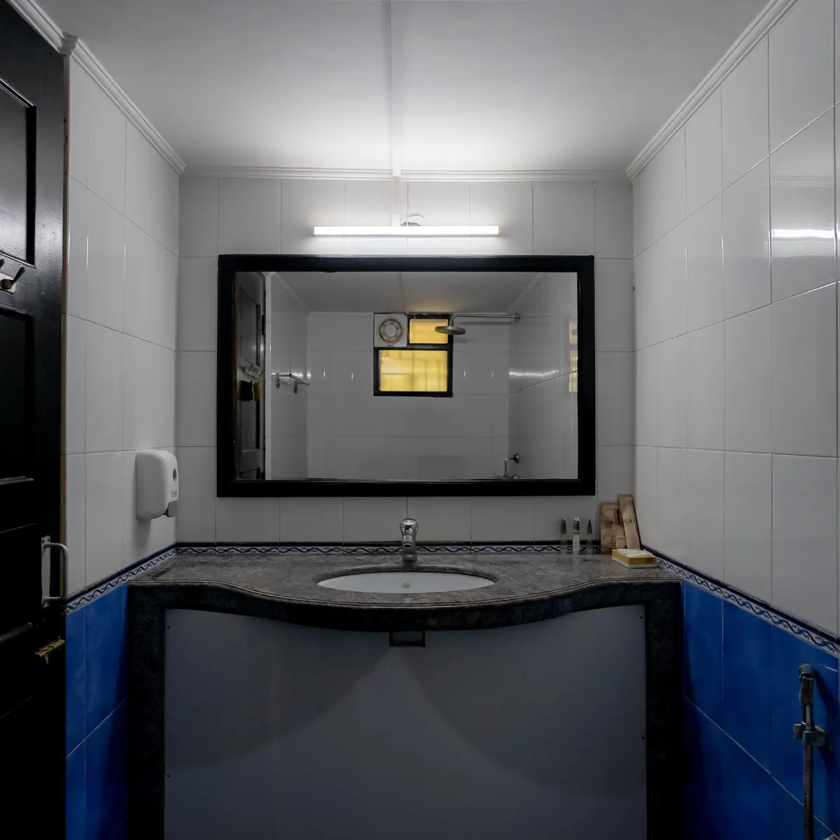 Ground Floor Washroom - The Heritage Villa, Goa