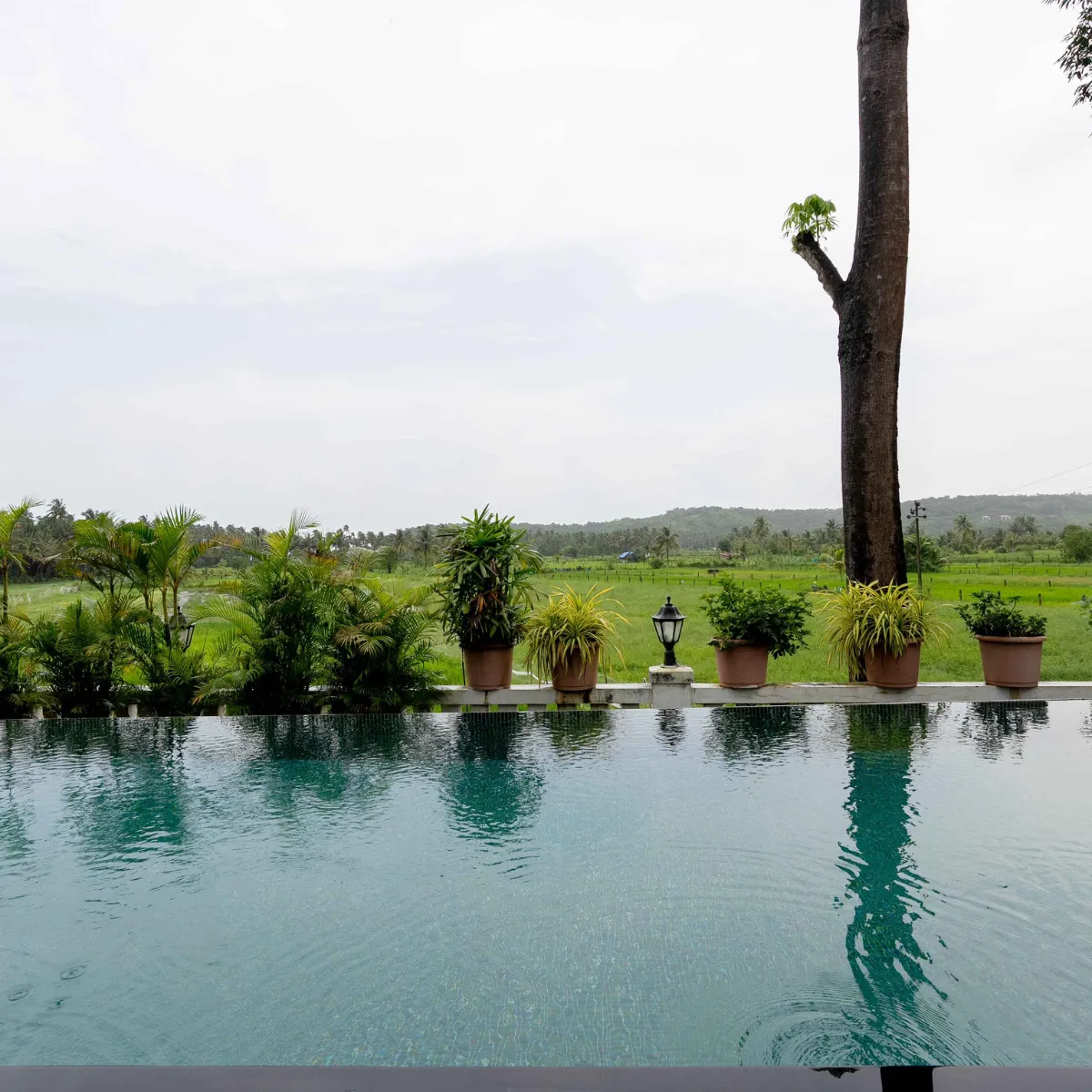 Swimming Pool View - Muskan Villa, Goa