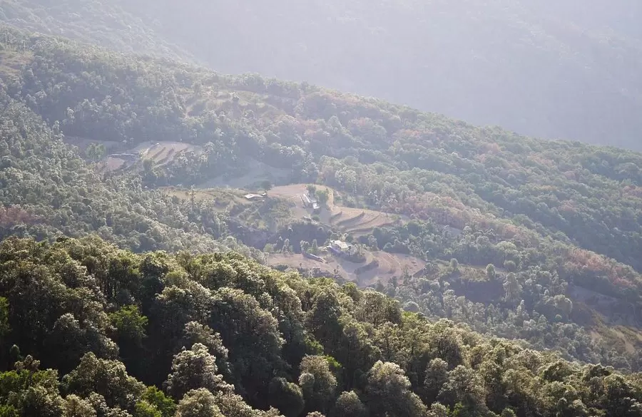 benog-wild-life-sanctuary-picnic-spot-in-mussoorie