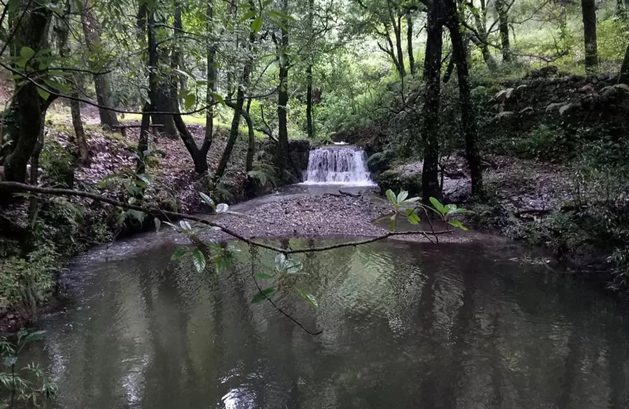 benog-wildlife-sanctuary-scene-iconic-picnic-spot-in-Mussoorie